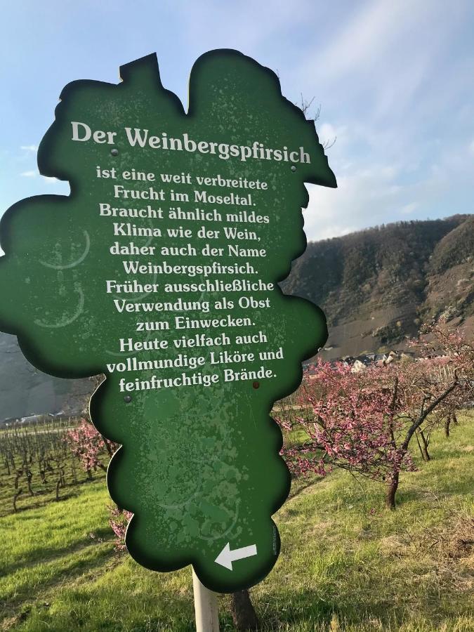 Residenz Moselzauber - Ferienwohnungen Mit Pool Landschaft 에른스트 외부 사진