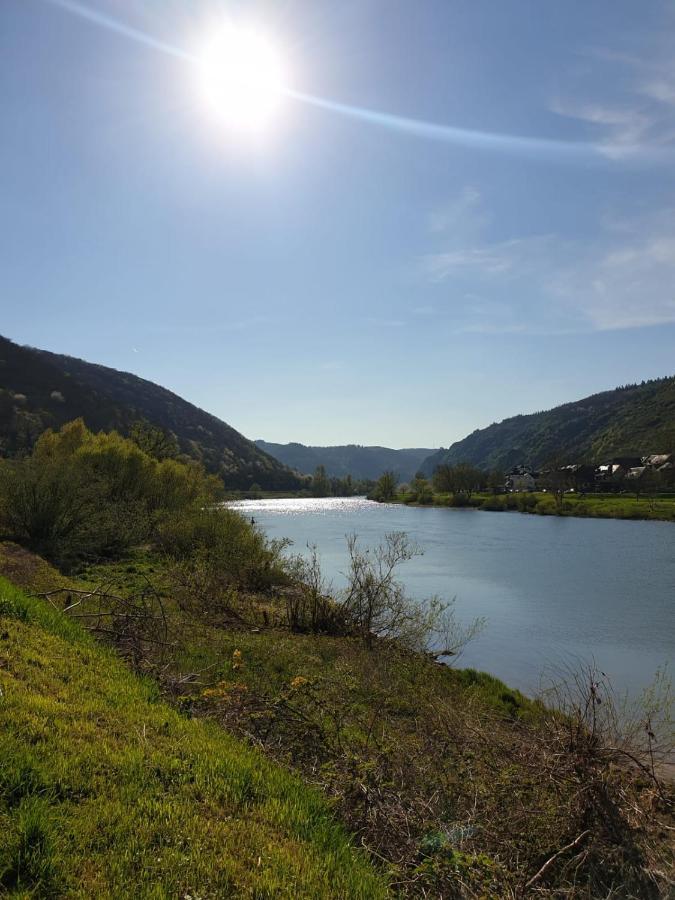 Residenz Moselzauber - Ferienwohnungen Mit Pool Landschaft 에른스트 외부 사진