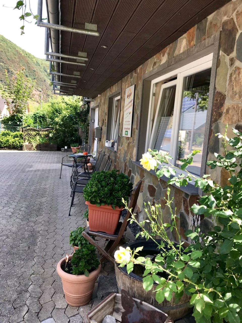 Residenz Moselzauber - Ferienwohnungen Mit Pool Landschaft 에른스트 외부 사진